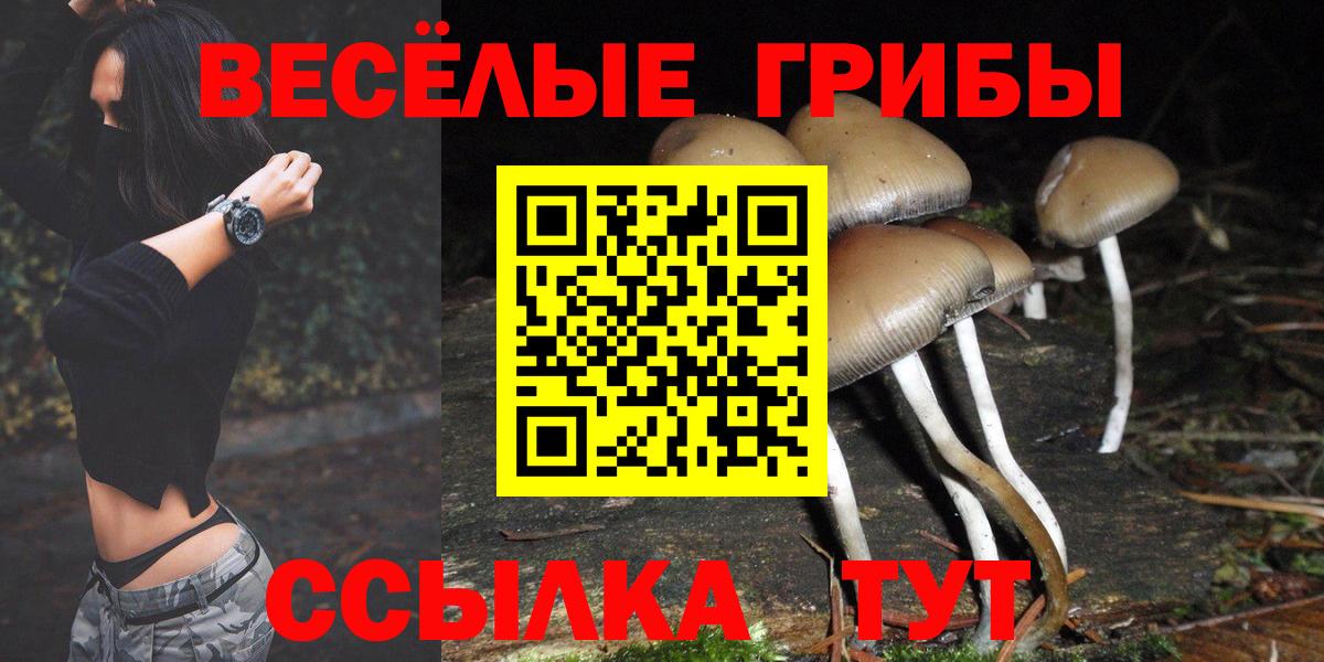 Ноябрьск  купить наркотики цена  Вход с VPN  Псилоцибиновые грибы прущие грибы 